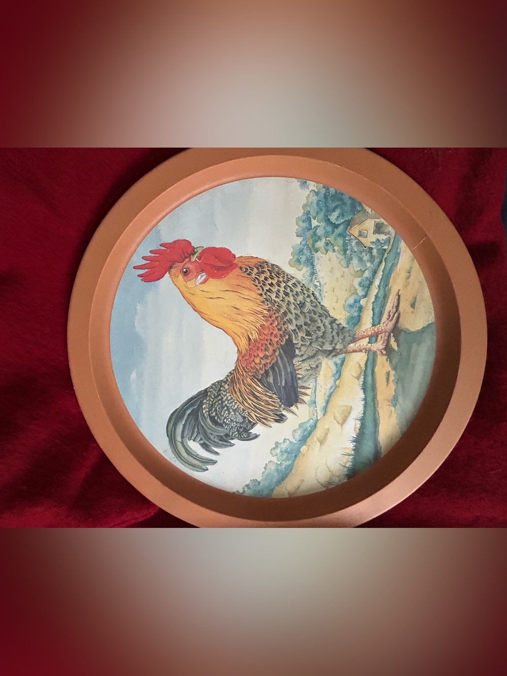 Rooster Decorative Wall Plate - Orange Rim with Colorful Rooster
